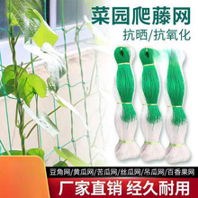 ���پW�r��ֲ��ɽș�S���㶹��϶��ǽz�ϵ��ϰ���������W�Nֲ�W