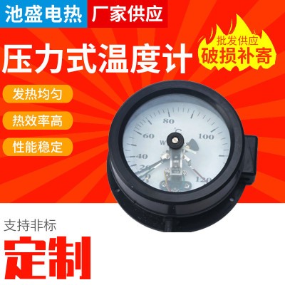 customized Pressure thermometer WTZ-288 Industry boiler Thermometer Pointer Pressure thermometer
