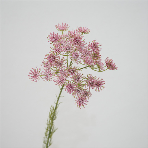 Manufacturer of artificial flowers, lace, floral landscaping decoration, fake flowers, home aesthetics, space display, photography props