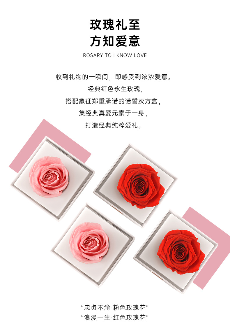 永生花夜灯_03.png