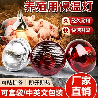 保温灯养殖场专用仔猪取暖灯宠物小鸡加热灯育雏烤灯兽用加厚灯泡