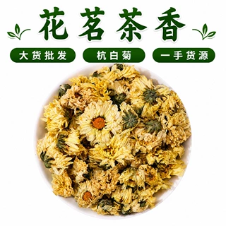 散装杭白菊茶批发新货花茶原料厂家500克杭白菊代用茶朵花包邮