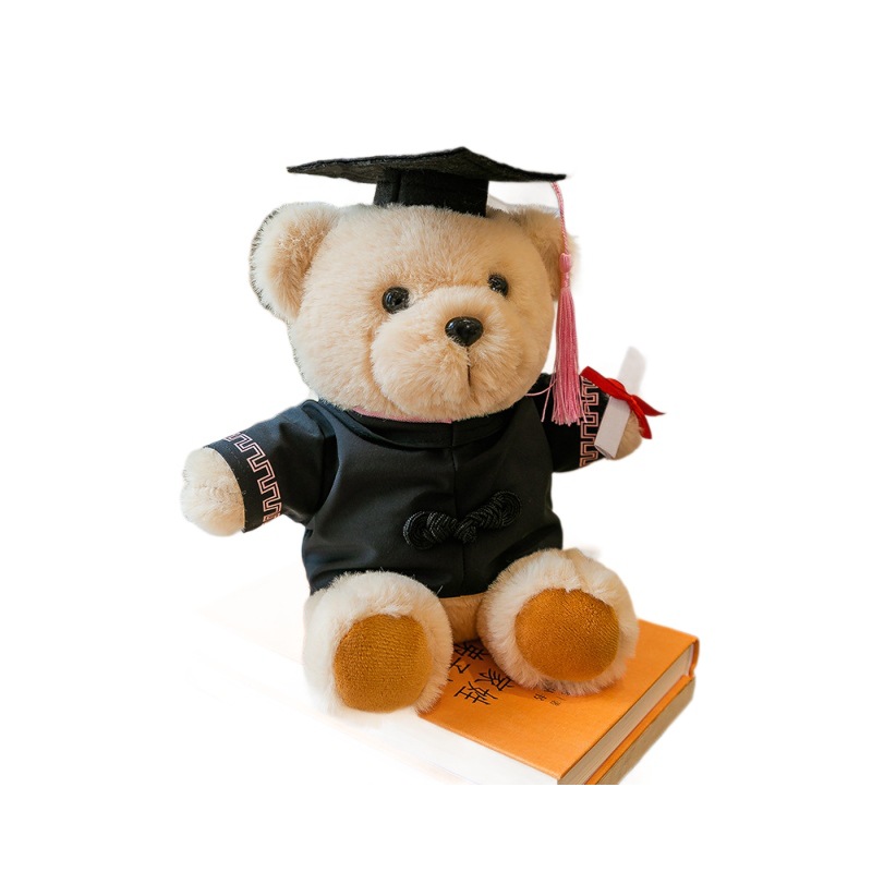 Teddy Bear Doctor Teddy Teddy