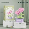 Lele Brothers 1604-06