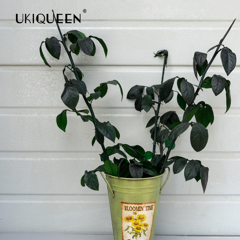 Fabricante mayorista de materiales de bricolaje para flores eternas, tallos y hojas de rosas eternas de Yunnan, adornos con cubierta de cristal del Principito.