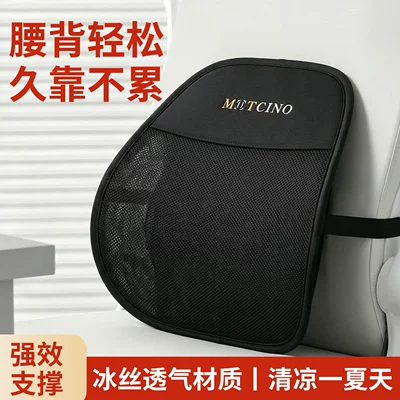 Seat cushion, seat cover, Seat Cushion for Women, High-End