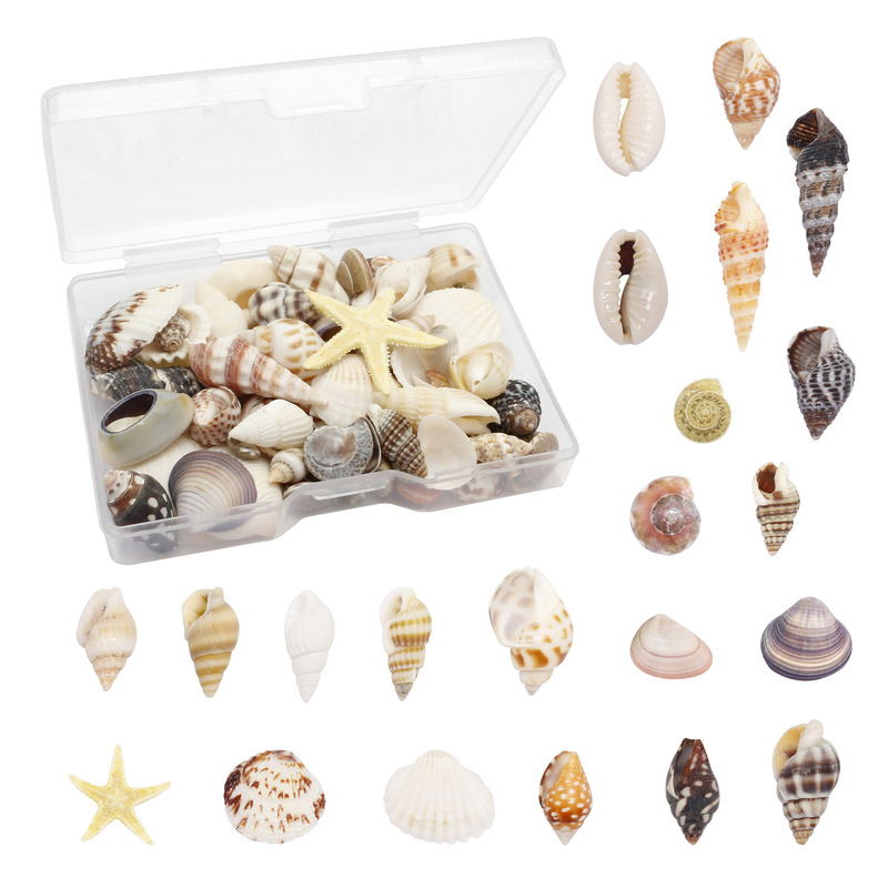 Boxed Natural Shells, Conch and Starfish Combination, Mixed Non-Porous Fish Tank Landscaping Aquarium Decoration Handmade Materials Boxed Natural Shells, Conch and Starfish Combination, Mixed Non-Porous Fish Tank Landscaping Aquarium Decoration Handmade Materials