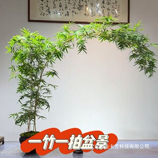 �����������҃ȴ����^����ߗU�h֦�������Ӳ�������ʽ�U��Gֲ