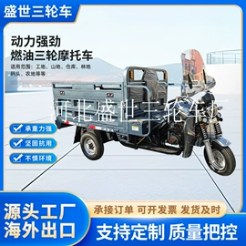 正三轮摩托车;电动三轮车