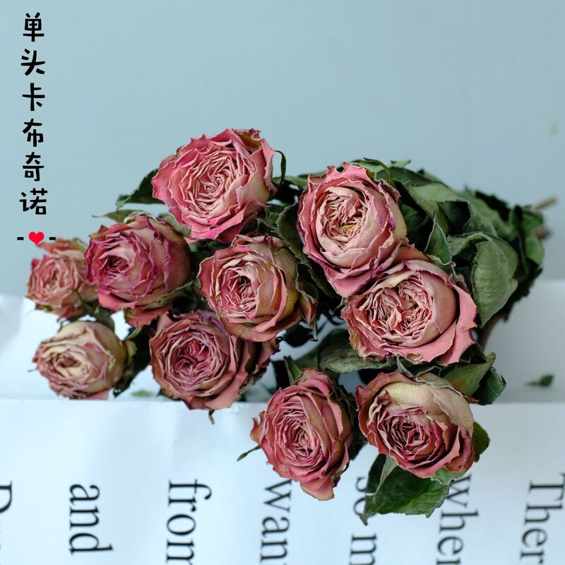 雲南昆明直発多頭バラの花の単頭バラの花の花束バラの泡飾りメーカーの卸売り|undefined