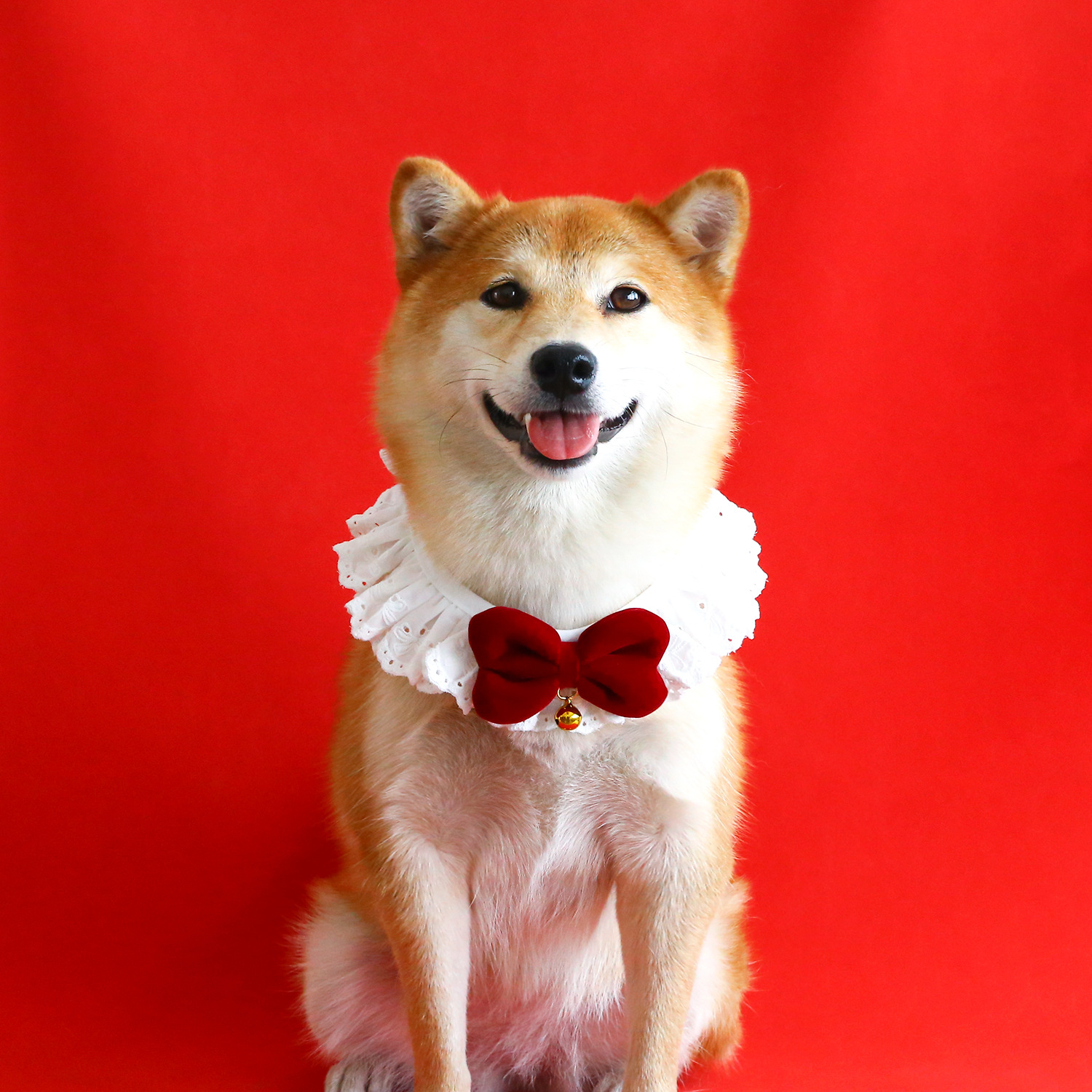 Pantalones de encaje de mascotas plegados princesa seda arco de Año Nuevo collar gato perro collar rojo de Navidad