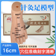 丰帆足部穴位模型推拿针灸足底脚模模型脚丫子足疗保健点穴家用