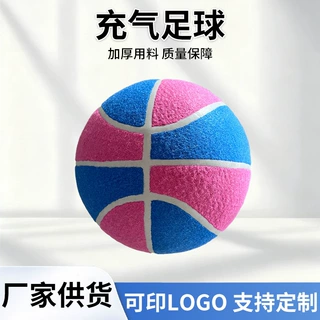 5英寸-9.5英寸狗狗抛掷玩具logo定制篮球型足球型排球型充气网球