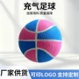 充气定制排球狗狗玩具