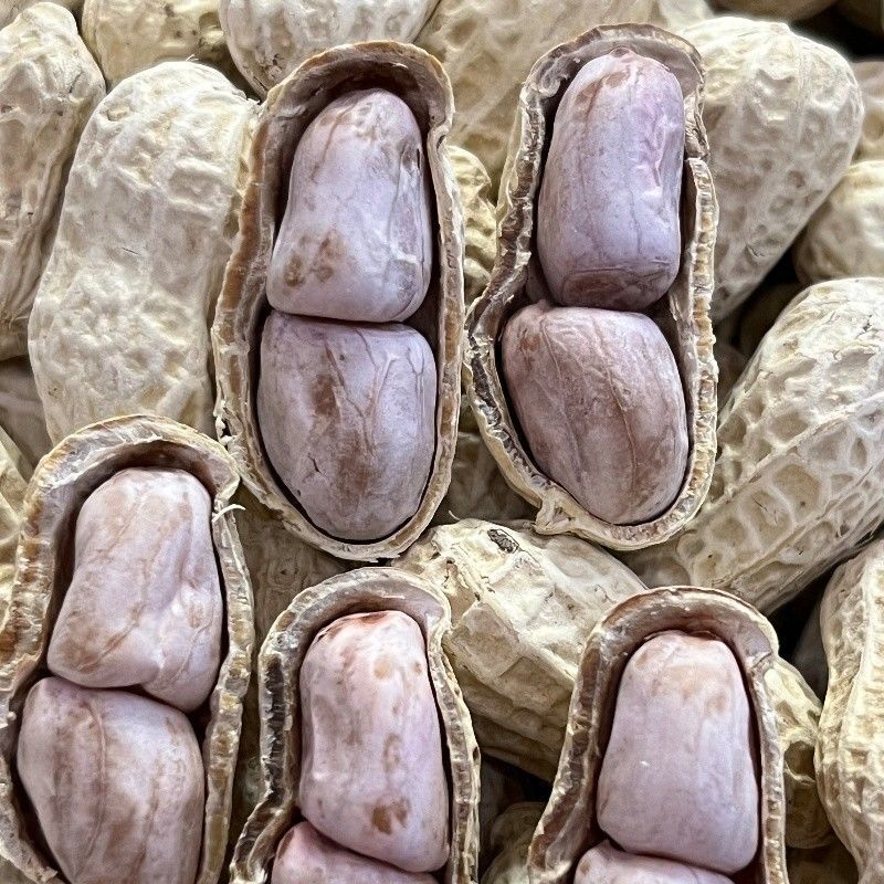 【茹でた落花生・天日干し】龍岩茹で落花生・ニンニク風味落花生・五香落花生・茹でた塩味落花生・塩干し落花生|undefined