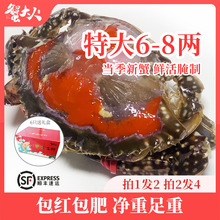 红膏呛蟹飞机宁波产生腌梭子蟹糊咸蟹醉蟹螃蟹炝蟹即食整只