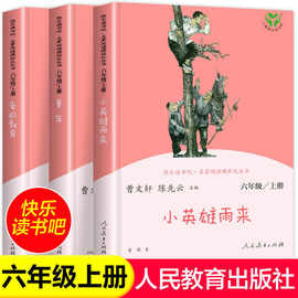 童年爱的教育鲁滨逊漂流记六年级上下册人民教育出版社快乐读书吧