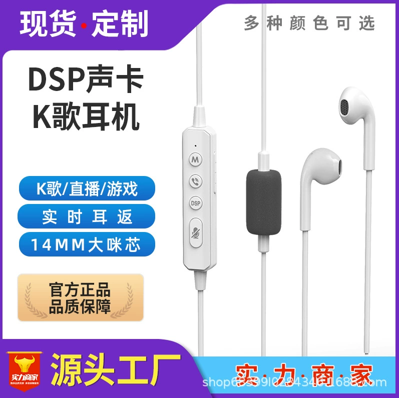 Cross-Border Live Streaming Karaoke Sound Card Wired Headphones with Built-In Reverb Real-Time Ear Monitoring Voice Changer Universal Karaoke Recording