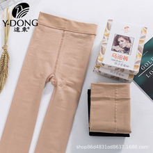 远东秋冬薄绒打底裤袜马油裤肉色光腿神器连裤袜微压龙抓毛8501女