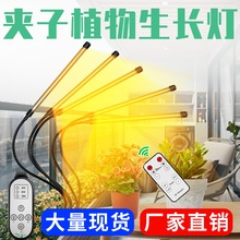 ledֲ��������������ڶ�����ֲ����֧�ܼ��Ӷ�ʱˮ������ܵ���