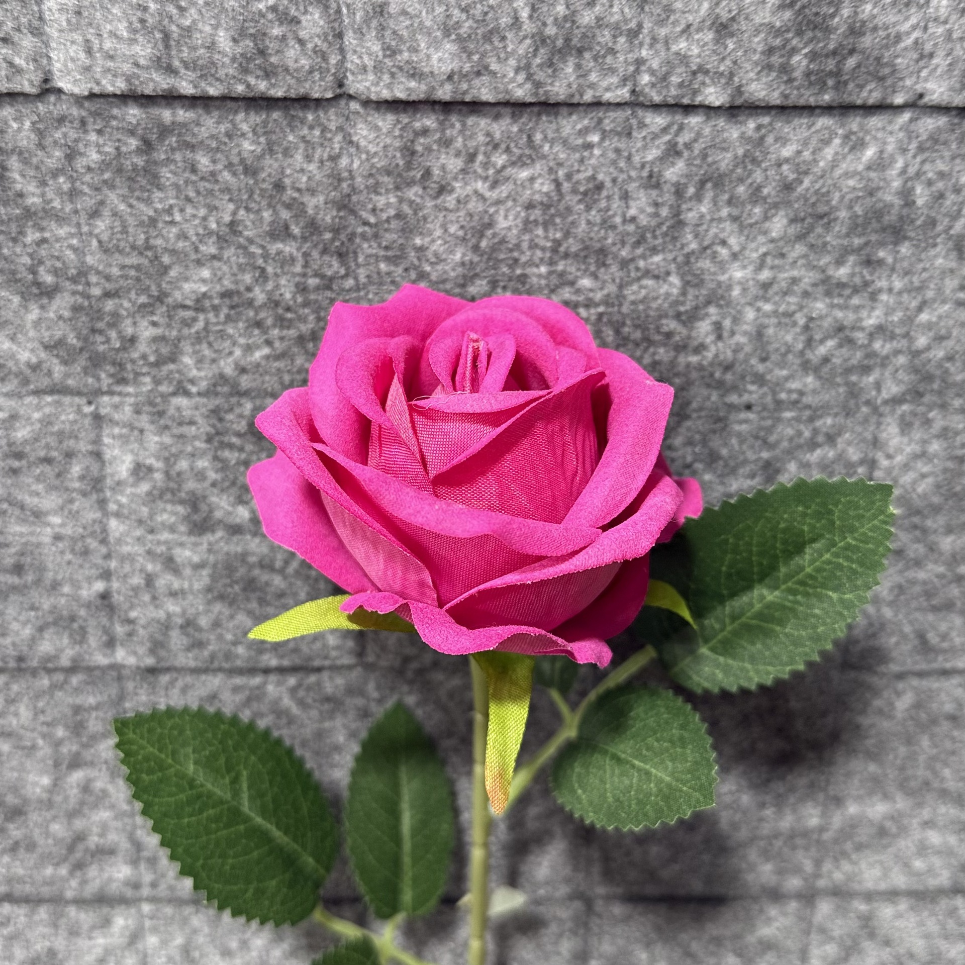 라이트 로즈 레드