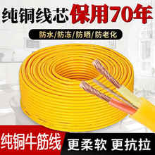 ���~ţ�����늾� ��RVV2оܛ�o��1.0/1.5/2.5ƽ���Դ�� ������