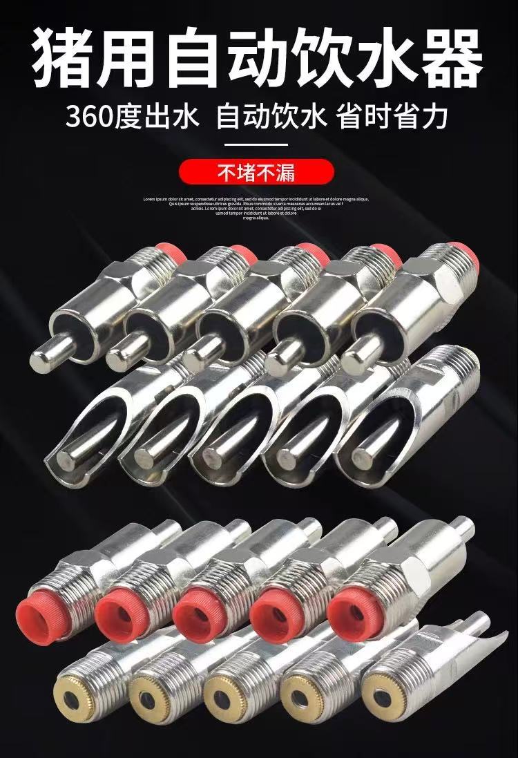 853597e360558bdffc7eafd5433f10