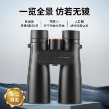 ˹\ӸEDhR yˮ^BR ĿRpͲhR