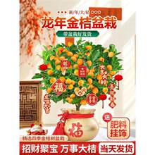 �ļ���ۘ������Ԏ�����ʳ�������҃����ӹ���Gֲɳɰ�ǽۘ����