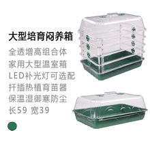 ���琞�B��������������5939�бP���߶����L͸�����w���Ұlѿ�߸�
