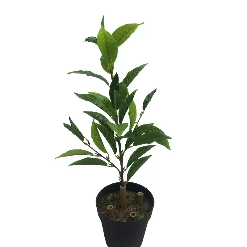 仿真茶花假树叶 绿植四叉枝福鼎大白茶叶绿茶工程DIY装饰摆设批发