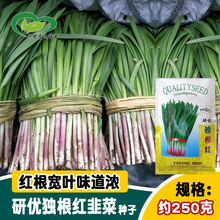 t²˷N rˈ@L~wS۾²˷N ߲˷N