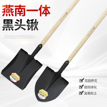 ����һ�w���^��@�@ˇ�P�����P�i䓑�����@�r��ƽ�^�P�ӷ��^�F�@