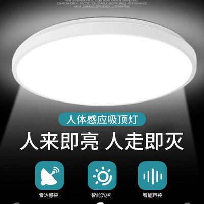 led Sound and light control engineering radar human body Induction Ceiling lamp Aisle Garage Stairwell Infrared Induction lamp