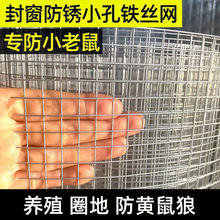 镀锌钢丝网防鼠防蛇防锈加粗鸽鸟鸡鸭兔笼阳台养殖防护铁丝网网格