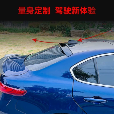Wing and Tail Wing – Fixed wind wing