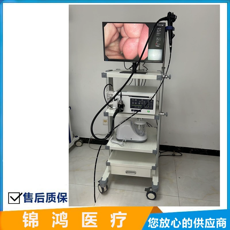 Шанхайский Oujiahua VET-8800 цифровой эндоскоп для малых животных, эндоскоп для собак и кошек, бронхоскопия