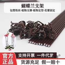 �����m֧��֧�ΗU���ͼ��ӈ@ˇ�����m�ݻ�֦�A����������ֲ��̶�