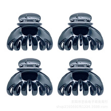 5.5CMץ�A���s����ɫ�ٴ�l�A���X���Rβ�A�P�l�A���֊A�l����