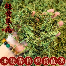 2025����؛��ș�������Ĵ��s�S�����A�s�S���s�S������ă�