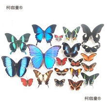 ������˱�չ����Nԭ���s���G�����P���Żҵ����x���x�׃���̫��