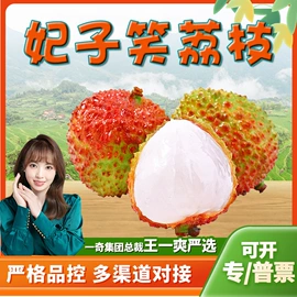 代用/养生茶;西式糕点;块茎类