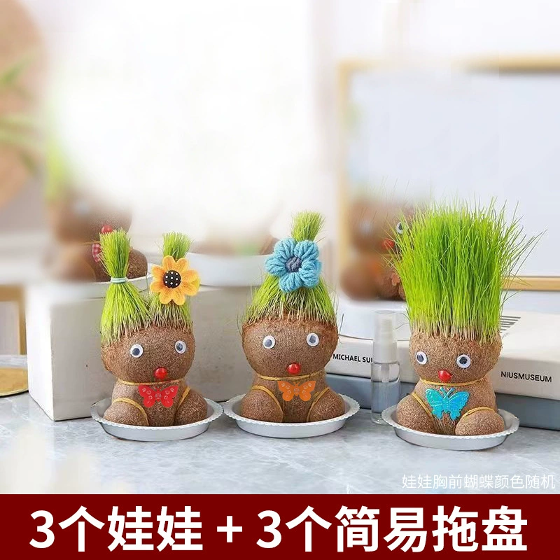 [批发草头娃娃浇水头上长草人绿植长头发儿童好养种草幼儿园桌面小]