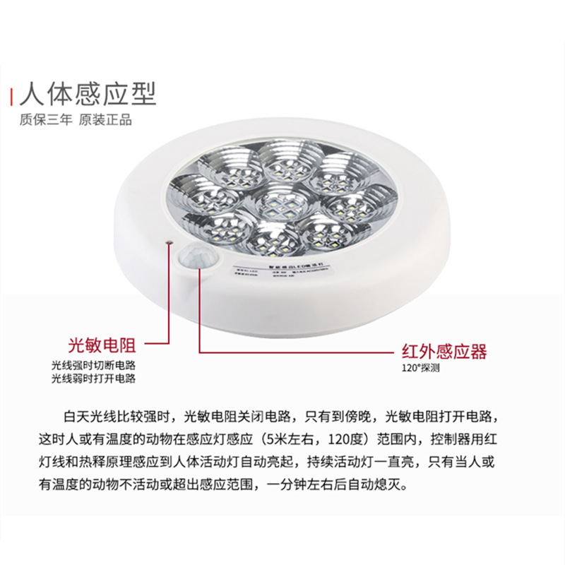 Plum blossom model 8w human body sensor (diameter 22cm)