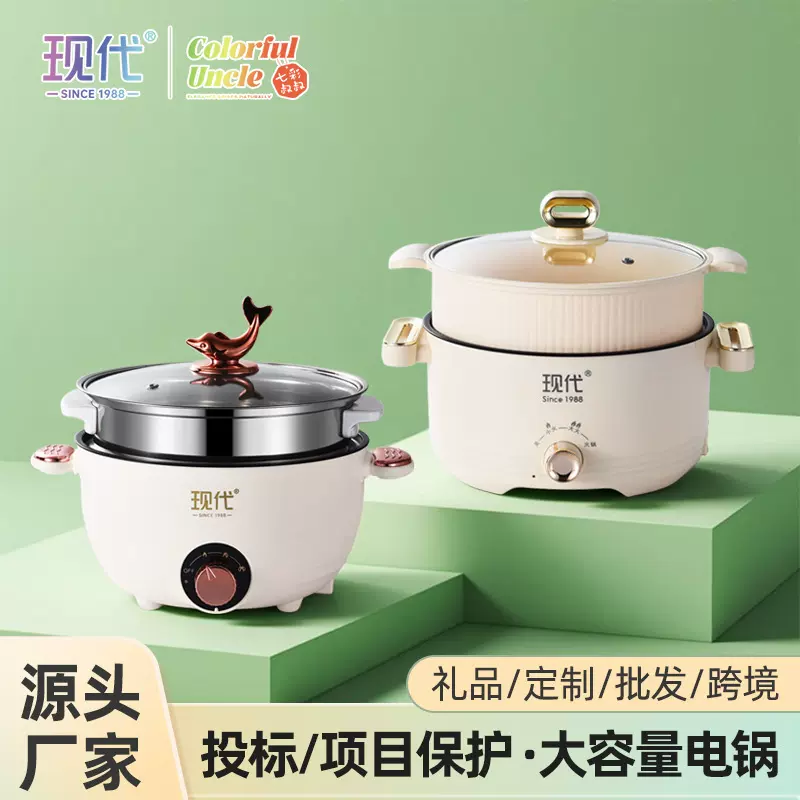 粤帝斯直供 现代星厨电火锅家用蒸煮煎炒不粘锅一体式多功能电锅