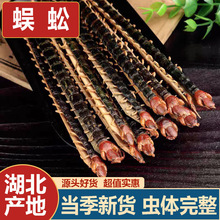 蜈蚣中药材蜈蚣干带竹签湖北红头蜈蚣15公分蜈蚣粉100g可代发