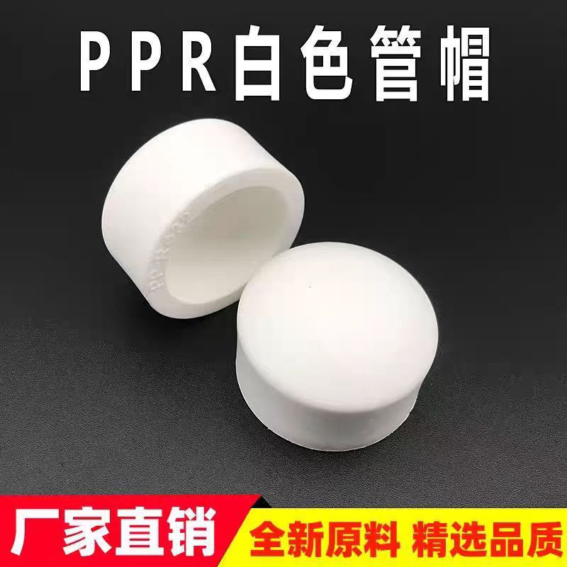 批发PPR管帽 ppr堵头管堵家装水管配件管帽齐全堵盖 全规格