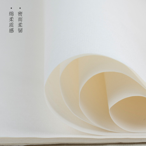 8 Kaisheng Xuan paper for introductory practice, half-baked Chinese painting and calligraphy, special paper for mature Xuan art students