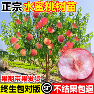 ����ˮ���Ҙ���޽��S�Ҙ䮔��Y���Ϸ������Nֲ�Ҙ�����ȫ