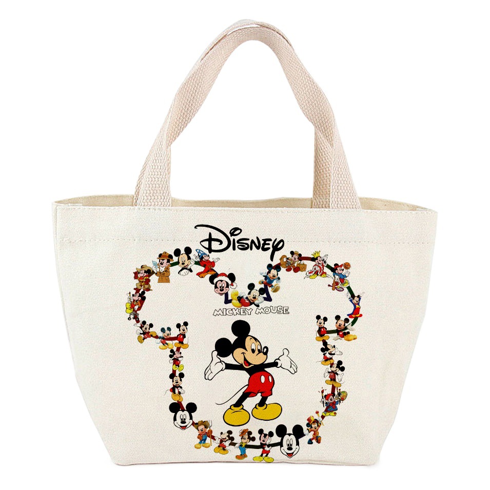 Bolsa de almuerzo pequeña, bolsa de lona, bolso de mano con dibujos animados de anime, bolsa de almacenamiento, bolso pequeño, regalo